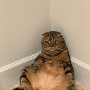 Meet your Posher, Aida